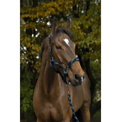 Halfter + Führstrick Equitheme Geflochten Halfter + Führstrick Equitheme Geflochten