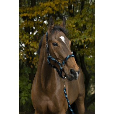 Halfter + Führstrick Equitheme Geflochten Halfter + Führstrick Equitheme Geflochten