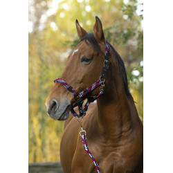 Halfter + Führstrick Equitheme Geflochten Halfter + Führstrick Equitheme Geflochten