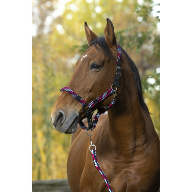 Halfter + Führstrick Equitheme Geflochten Halfter + Führstrick Equitheme Geflochten