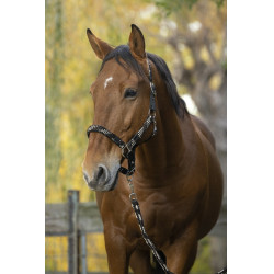 Halfter + Führstrick Equitheme Geflochten Halfter + Führstrick Equitheme Geflochten