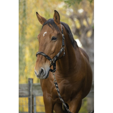 Halfter + Führstrick Equitheme Geflochten Halfter + Führstrick Equitheme Geflochten