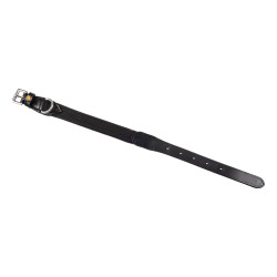 Hundehalsband aus Cordura