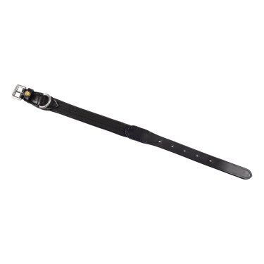 Hundehalsband aus Cordura