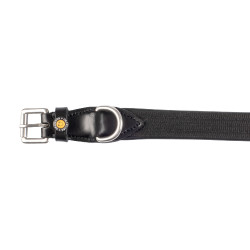 Hundehalsband aus Cordura