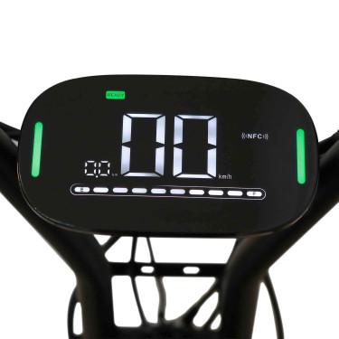 Elektroroller E-one 1000 W