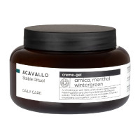 Arnika 90 mit Menthol 500 ml