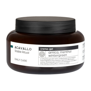 Arnika 90 mit Menthol 500 ml