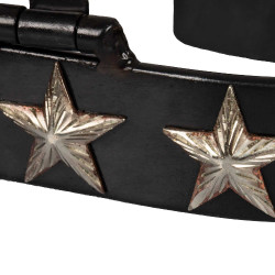 Western-Sporen brüniert 6 Sterne