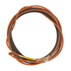 Professionelles gebrauchtes Lasso USA