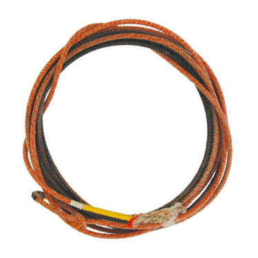 Professionelles gebrauchtes Lasso USA