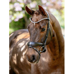 Kudos Anatomic Dressurtrense LeMieux