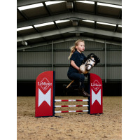 Hobby Horse Jump LeMieux