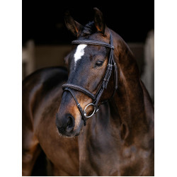 Arika Classique Flash Trense LeMieux