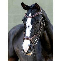 Kudos Sport-Trense Schwarz/Silber LeMieux Kudos Sport-Trense Schwarz/Silber LeMieux