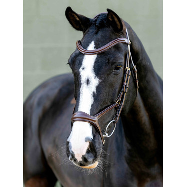 Kudos Sport-Trense Schwarz/Silber LeMieux Kudos Sport-Trense Schwarz/Silber LeMieux