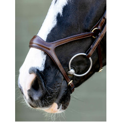 Kudos Sport-Trense Schwarz/Silber LeMieux Kudos Sport-Trense Schwarz/Silber LeMieux