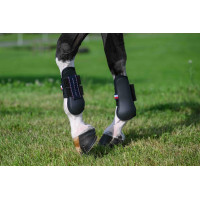 Champion Tendon Boot Black
