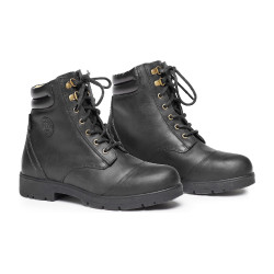 Wild River Lace Paddock Mountain Horse Wild River Lace Paddock Mountain Horse