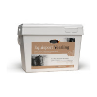 Equisport Jährlingspferde Meister Equisport Jährlingspferde Meister