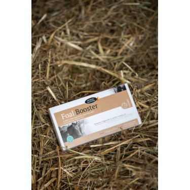 Foal Booster Horse Master pro 4 Foal Booster Horse Master pro 4