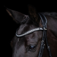 Trense HV Polo Diana
