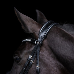 Trense HV Polo Diana