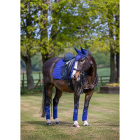 LeMieux Suede Dressur Schabracke Benetton Blau