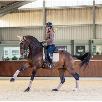 LeMieux Suede Dressur Schabracke Benetton Blau