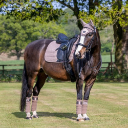 LeMieux Suede Dressur Schabracke Nerz Braun