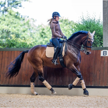 LeMieux Suede Dressur Schabracke Nerz Braun