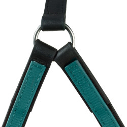 AMERIKANISCHES BETA-GESCHIRR Grün Gr&uuml;n