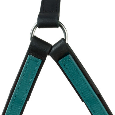 AMERIKANISCHES BETA-GESCHIRR Grün Gr&uuml;n