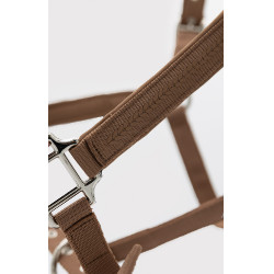 Halfter-Set fürs Reiten: Harcour Cinsy + Führstrick