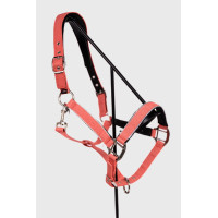 Harcour Halfter Bamara Marine Marineblau