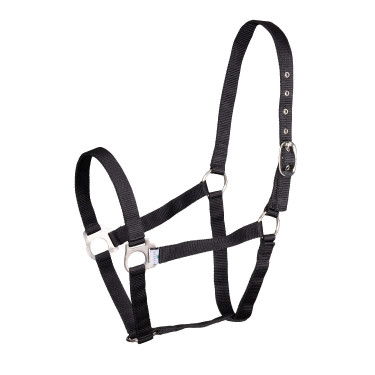 Shires Wessex Halfter – Pferdehalfter fürs Reiten