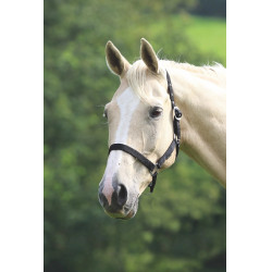 Shires Wessex Halfter – Pferdehalfter fürs Reiten