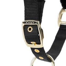 Pferdehalfter mit Führstrick – Shires Arma | Reitsport