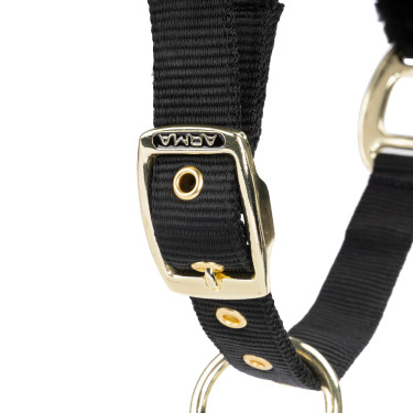 Pferdehalfter mit Führstrick – Shires Arma | Reitsport