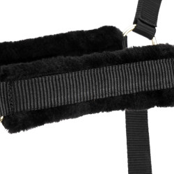 Pferdehalfter mit Führstrick – Shires Arma | Reitsport