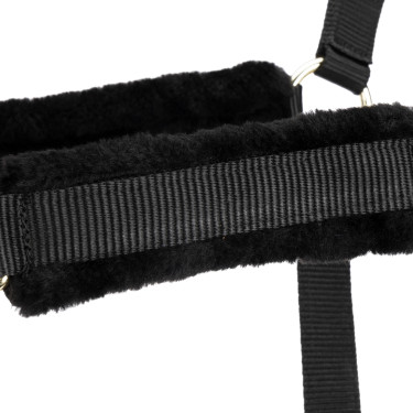 Pferdehalfter mit Führstrick – Shires Arma | Reitsport