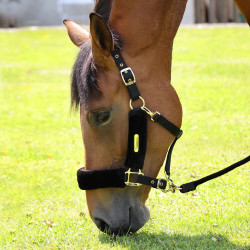 Halfter mit Kunstfell + Führstrick | Shires ARMA Reitsport