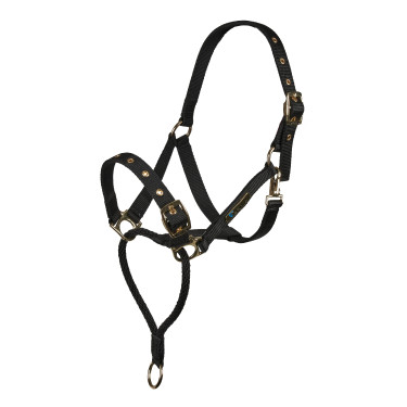Kontrollhalfter fürs Pferd – Shires ARMA | Equi-Clic