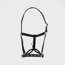 Kontrollhalfter fürs Pferd – Shires ARMA | Equi-Clic