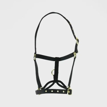 Kontrollhalfter fürs Pferd – Shires ARMA | Equi-Clic