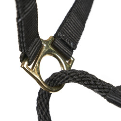 Kontrollhalfter fürs Pferd – Shires ARMA | Equi-Clic