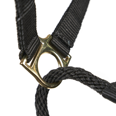Kontrollhalfter fürs Pferd – Shires ARMA | Equi-Clic