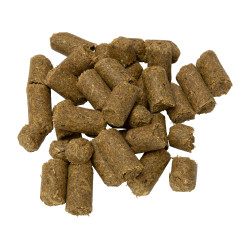 Pferdeleckerlis mit frischer Minze – Shires | Equi-Clic
