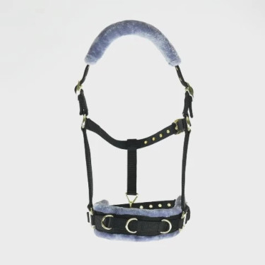 Longecaveçon fürs Reiten – Shires mit Fleecepolster Longecaveçon fürs Reiten – Shires mit Fleecepolster
