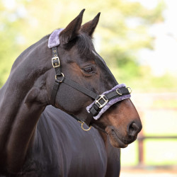 Longecaveçon fürs Reiten – Shires mit Fleecepolster Longecaveçon fürs Reiten – Shires mit Fleecepolster